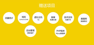 專業(yè)網站修改、模版二次開發(fā)與功能定制技術服務